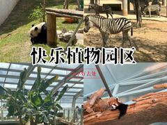 -石家庄市动物园