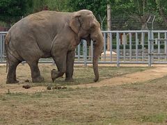 -石家庄市动物园