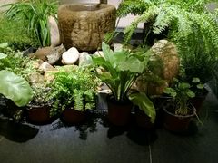 -翔峰炭火鳗鱼(悦泰街里公寓店)