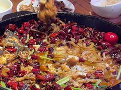 -老板恋上鱼(恒隆广场店)