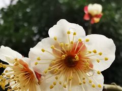 -杭州六谷生态休闲农庄有限公司