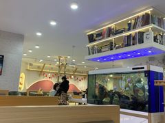 -喵园·猫主题咖啡厅·撸猫·猫咖(国贸店)