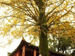 -佛荫寺