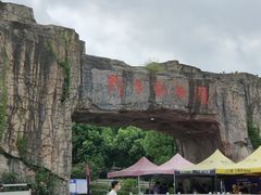 -合肥野生动物园