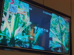 -星聚会KTV(复地活力城店)