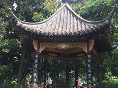 -梅园