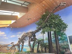 -延庆地质公园博物馆