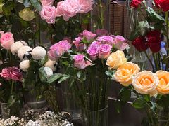 -谷莠子花艺·气球派对·绿植造景·花艺沙龙(金光华广场店)