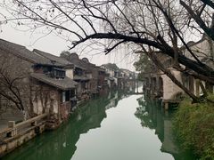 -乌镇西栅景区