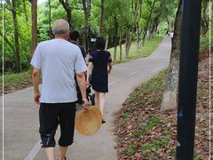 -燕晗山郊野公园