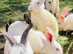 -西部长青自然儿童乐园