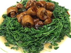 -阿英煲(凉城路店)