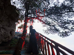 -秦岭天竺山景区
