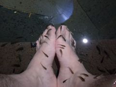 -凤翔首邑温泉度假村
