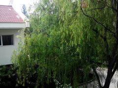 -蟒山（北京）会议中心