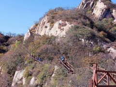 -大岭沟猕猴桃谷风景区
