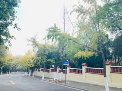 -公主楼