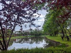 -西溪国家湿地公园