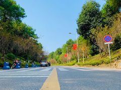 -铁山坪森林公园