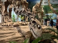 -自贡恐龙博物馆