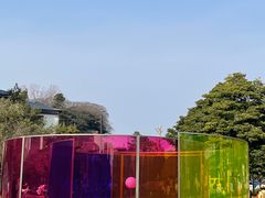 -金泽21世纪美术馆