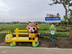 -苏州太湖西山岛开心农场