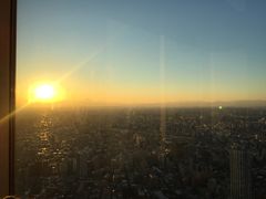 -东京都厅舍