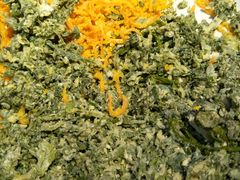 -清真刘记全羊肉鲜汤馆(前进路店)