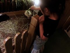 -藦茜花园宠物主题亲子互动体验馆(国顺东路店)