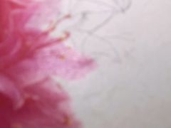-辛香汇·现炒川菜(淮海路百盛店)