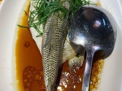 -新高记·粤菜·湛江鸡(南头古城店)