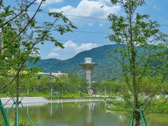 -三垟湿地