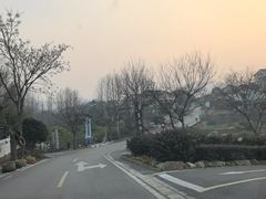 -石塘人家