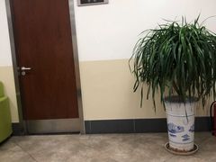 -美联众合动物医院·24h转诊中心