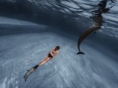 -亚龙湾海底世界