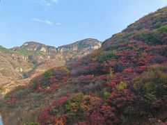 -泰和山景区
