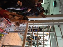 中环4号码头-中环4号渡轮码头