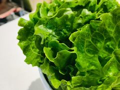 -古乐牛香·鲜牛肉牛杂火锅(新区店)