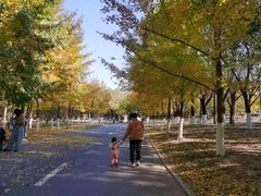 -长白岛森林公园