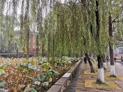 -四川大学(望江校区)
