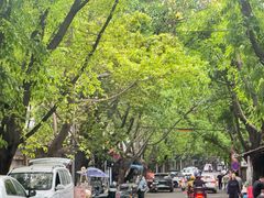 -晓友烧麦(光华村店)