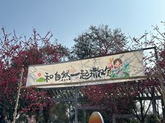 -南山植物园