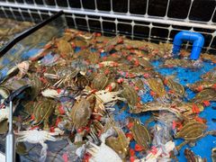-川骄海鲜自助(河东店)
