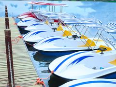 游乐设施-云漫湖生态度假公园