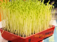 -五星桥原切肥牛火锅(怀德桥店)