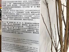 -UCCA Kids 儿童美育