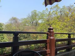 -龙井壹号·茶缘山景宴(龙井村店)