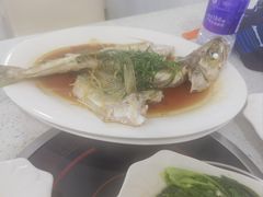 -冯姐生蚝(长隆横琴店)