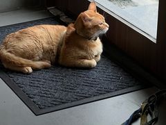 -Again Coffee Roaster(香蜜湖店)