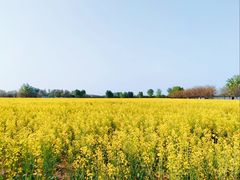 -汉长安城未央宫国家考古遗址公园